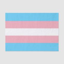 Vågrät Transgender Pride Flagga