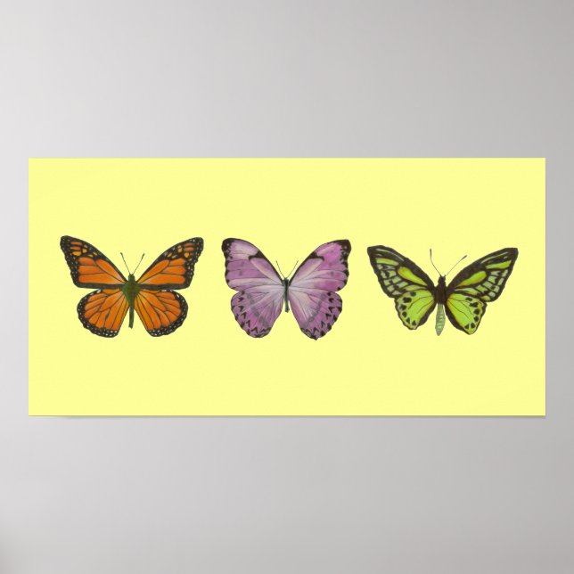Vågrät Triple Butterfly Poster (Framsidan)