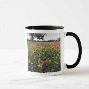 Vägrens vilda blommor i Texas, vår Mugg