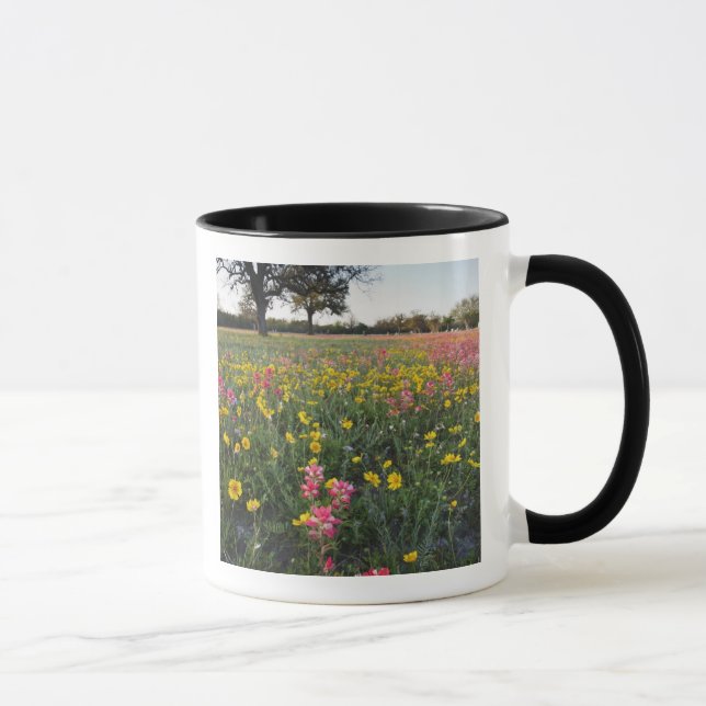 Vägrens vilda blommor i Texas, vår Mugg (Höger)