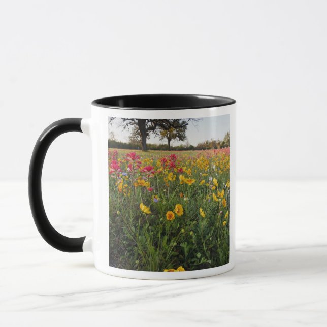 Vägrens vilda blommor i Texas, vår Mugg (Vänster)