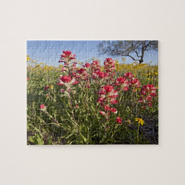 Vägrens vilda blommor i Texas, vår Pussel (Horisontell)