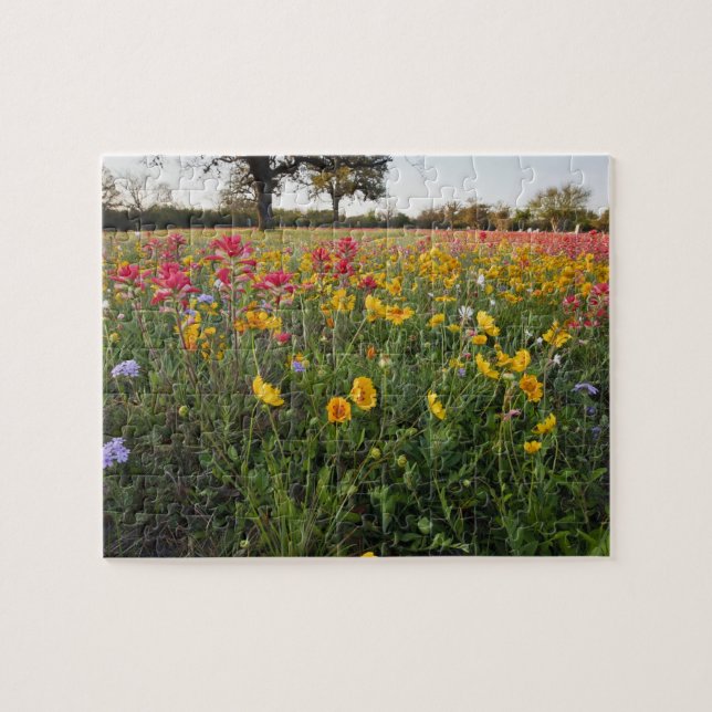 Vägrens vilda blommor i Texas, vår Pussel (Horisontell)