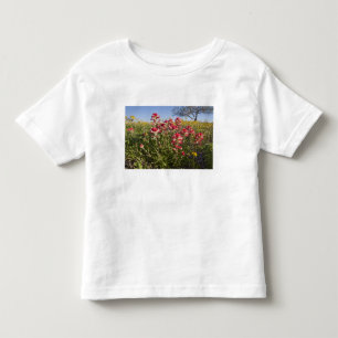 Vägrens vilda blommor i Texas, vår Tröja