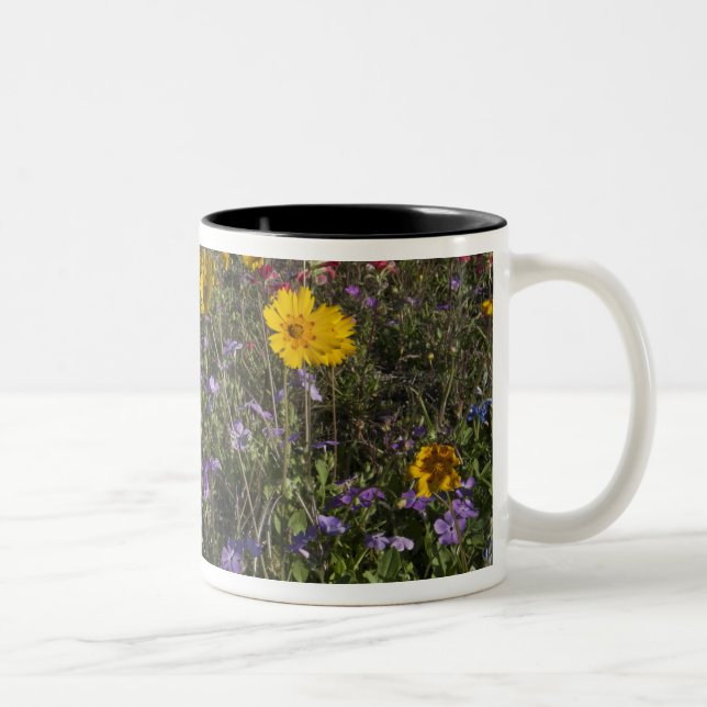 Vägrens vilda blommor i Texas, vår Två-Tonad Mugg (Höger)