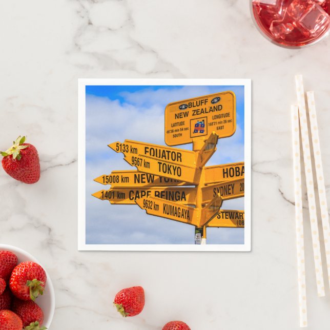 Vägslutet Pappersservett (Insitu)