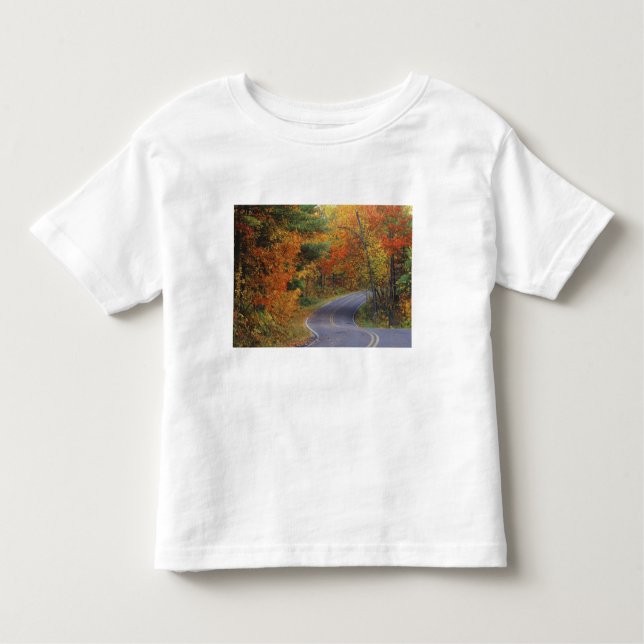 Vägsträckan träd på hösten i Itasca State Park T Shirt (Framsida)