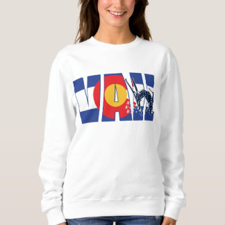 Vail Colorado och Snö Skier T Shirt