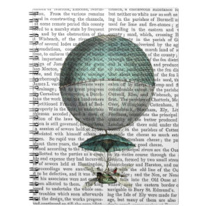 Vaisseau Volant Luftballong Anteckningsbok