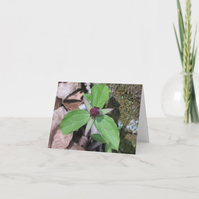 Vak skräddarsy Robin - Kort (Framsida)