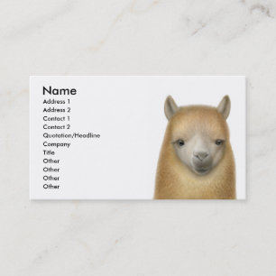 Vaken Alpacavisitkort Visitkort