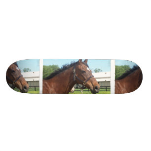 Vaken arabisk hästSkateboard Skateboard Bräda 21,5 Cm