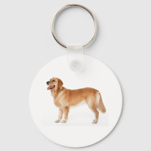 Vaken guld- Retriever Keychain Nyckelring