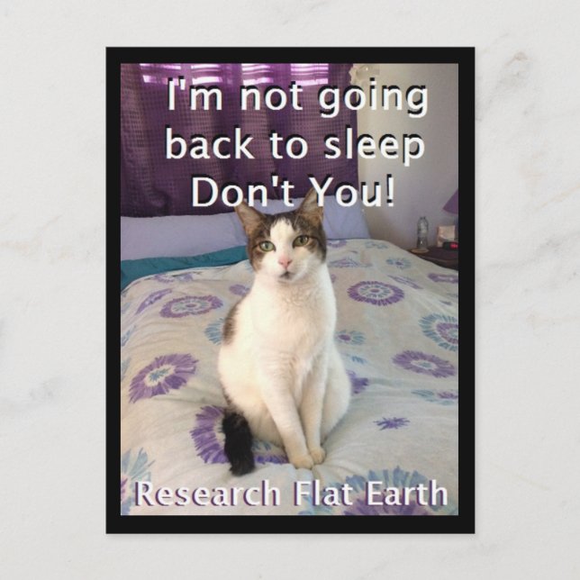 Vaken Layla vykort (Framsida)