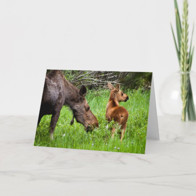 Vaken mor och baby för älg två kort (Framsida)
