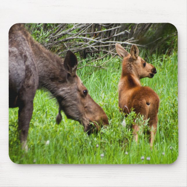 Vaken mor och baby för älg två musmatta (Framsidan)