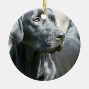 Vaken svart prydnad för hund för Labrador Julgransprydnad Keramik