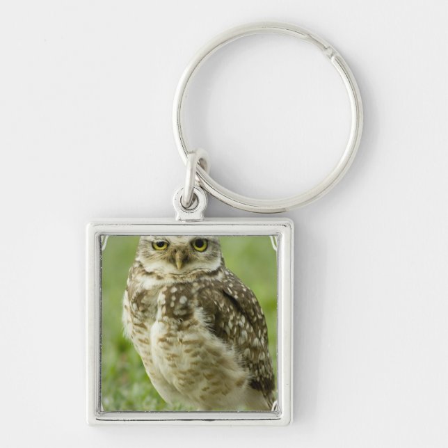 Vaken uggla Keychain Fyrkantig Silverfärgad Nyckelring (Framsidan)