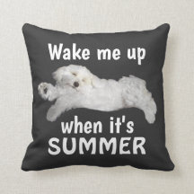 Vakna mig när det är sommarens maltesiska Hund