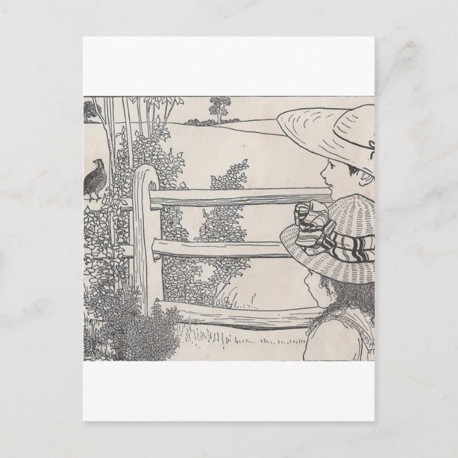 Vaktel på en skena vykort (Framsida)