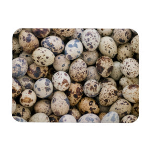 Vaktelägg, Huaraz, Cordillera Blanca, Ancash Magnet