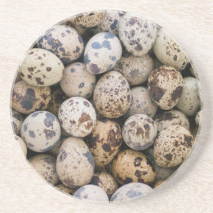Vaktelägg, Huaraz, Cordillera Blanca, Ancash Underlägg