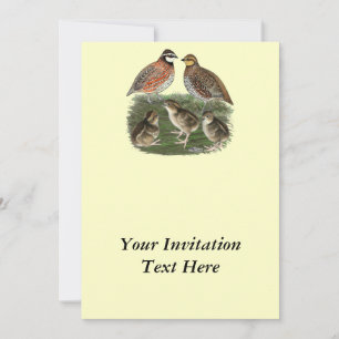 Vaktelfamilj Bobwhite Inbjudningar