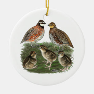 Vaktelfamilj Bobwhite Julgransprydnad Keramik
