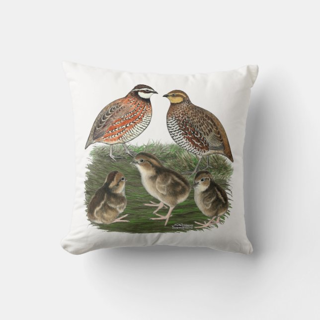 Vaktelfamilj Bobwhite Kudde (Framsida)