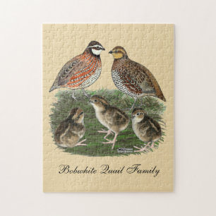 Vaktelfamilj Bobwhite Pussel