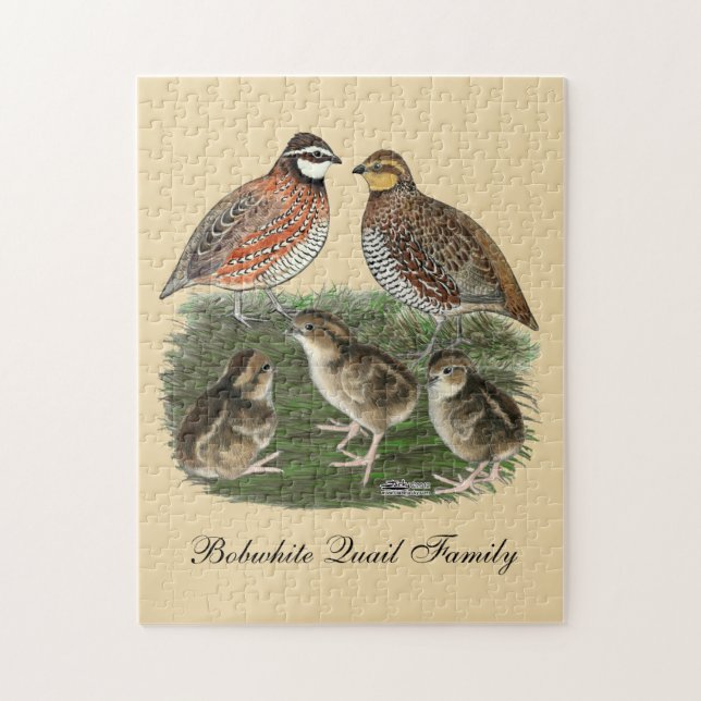 Vaktelfamilj Bobwhite Pussel (Vertikal)