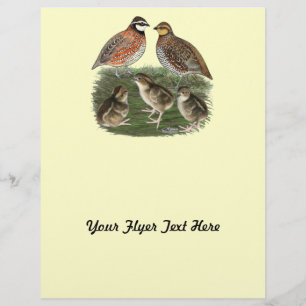 Vaktelfamilj Bobwhite Reklamblad
