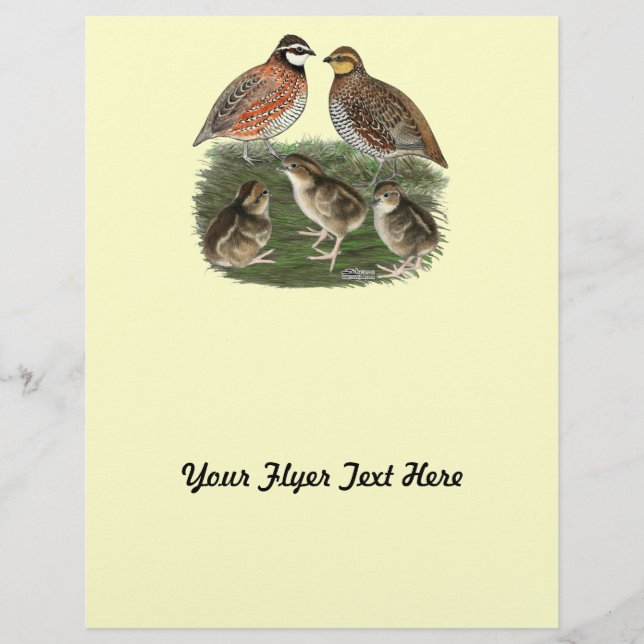 Vaktelfamilj Bobwhite Reklamblad (Framsidan)