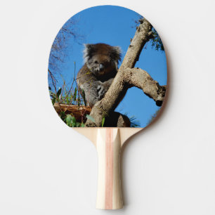 Vaktfull Koala Bear, Pingisracket