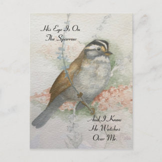 Vaktfull Sång Sparrow Bible Quote Watercolor Vykort