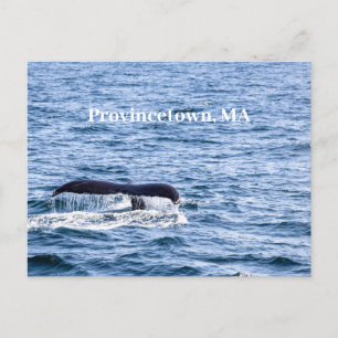 Vaktkort för Humpback val Vykort