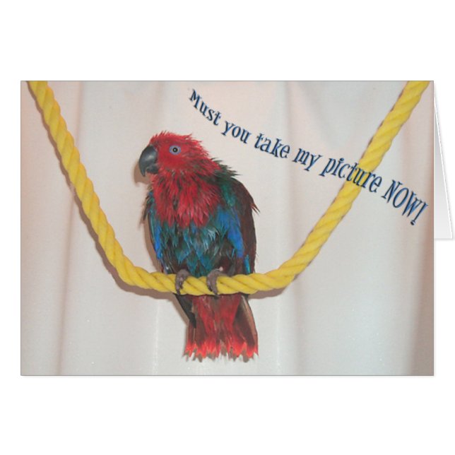 Vaktmästare Hälsningskort (Framsidan Horizontal)