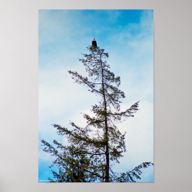 Vaktorn Poster (Framsidan)