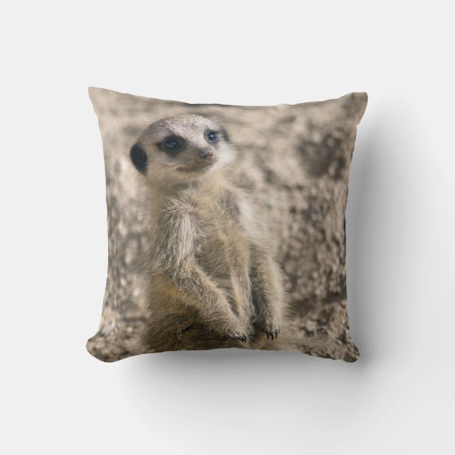 Vaktpost-i-Utbildning kudder Kudde (Framsida)