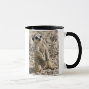 Vaktpost-i-Utbildning mugg