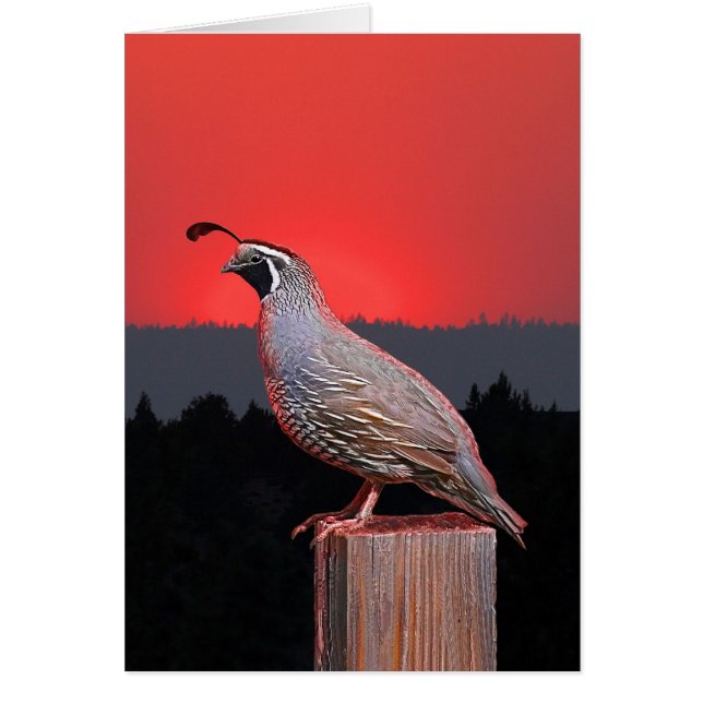 VAKTPOST PÅ SOLNEDGÅNGEN HÄLSNINGSKORT (Framsidan)