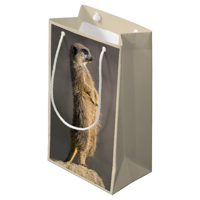 Vaktpostgåvan hänger lös (Framsidan Vinklad)