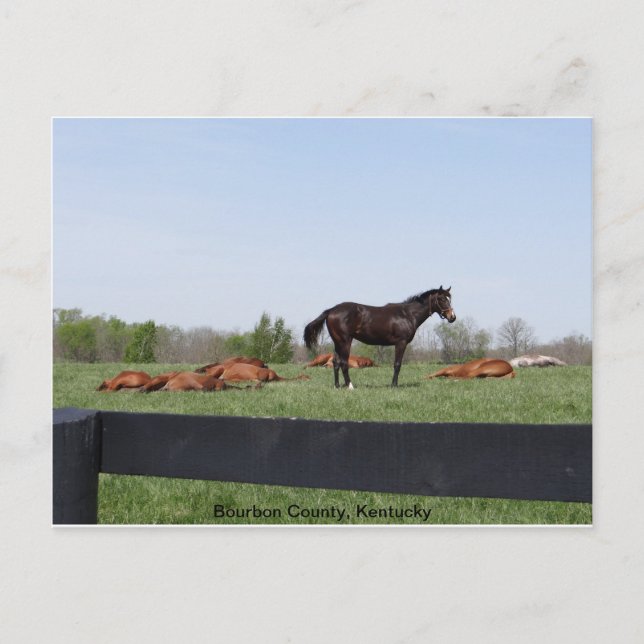 Vakttjänstgöring Vykort (Framsida)