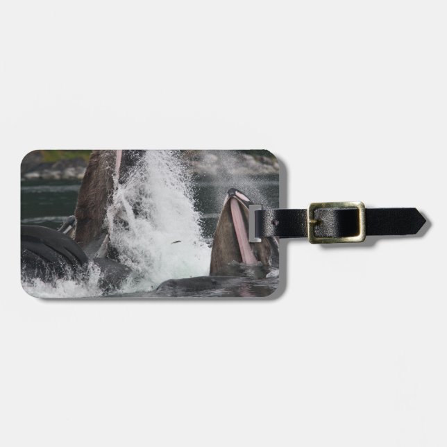 val bagagebricka (Horisontell Framsida)