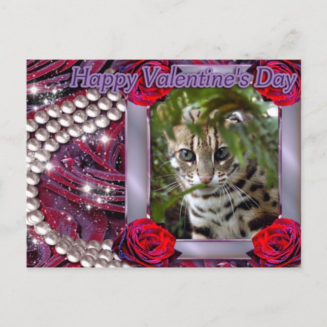 val-bengal-cat-00073-6x4 helg vykort (Framsida)