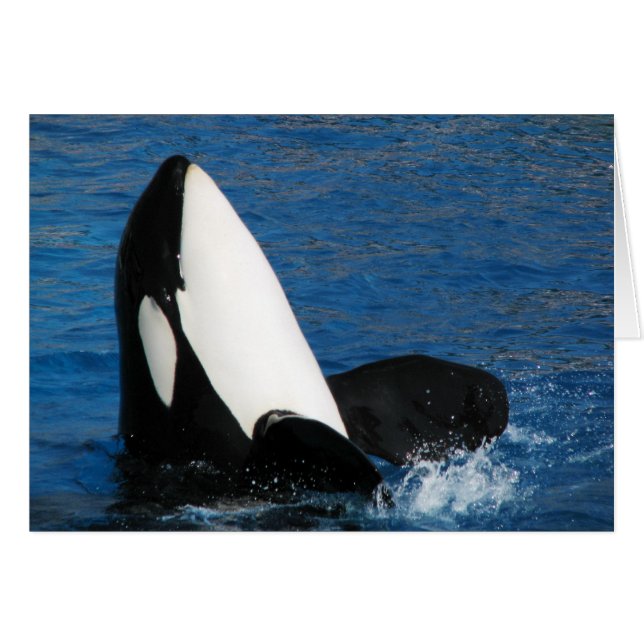 val hälsningskort (Framsidan Horizontal)