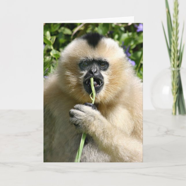 Väl hejer där kort (Framsida)