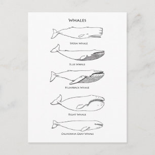 Val-logotyp Vykort