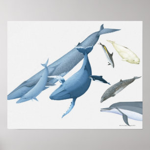 Val Poster