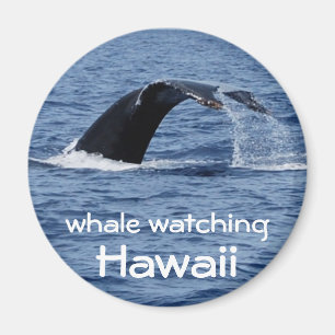 Val som håller ögonen på, Hawaii Magnet